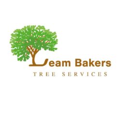 Leam Bakers Tree Services